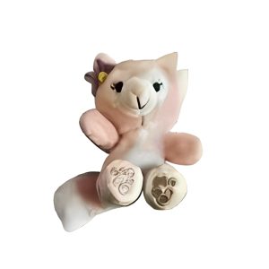 RG Plush World Wegwerp Vape 8000 Rookwolken - Perzik