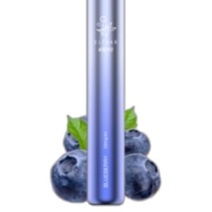 ELF BAR 600V2 Disposable 600 trekjes Blueberry 2 ml